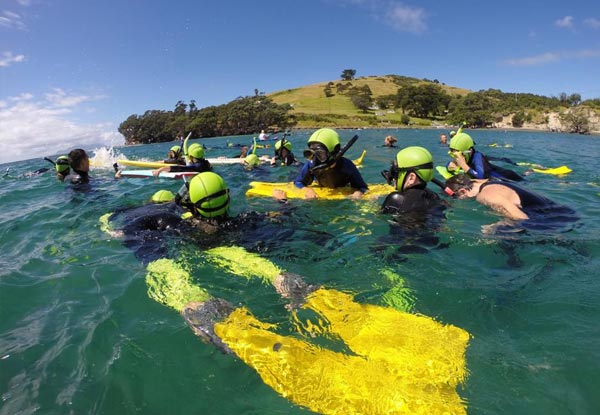 $38 for a PADI Guided Snorkel Experience or $99 for a Half-Day PADI 'Try Dive' Scuba Experience at Goat Island Marine Reserve - Valid Mon - Thurs - Options for Two People