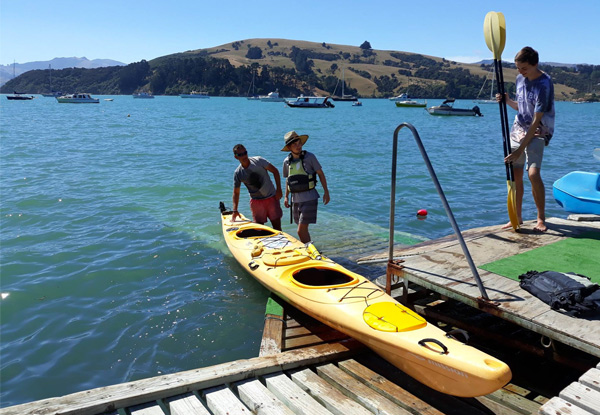 One Hour of  Wildlife Kayaking for Two People - Option for Two Hours