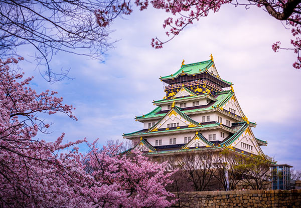 Per-Person Twin-Share 16-Day Timeless Japan Tour incl. International Flights, Accommodation, Admission & Sightseeing Fees, English Speaking Guide & More - Option for a Solo Traveller Available