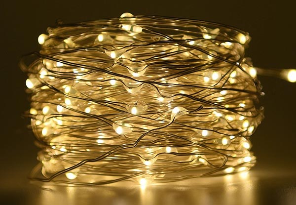 String of 100 Warm White LED Copper Lights