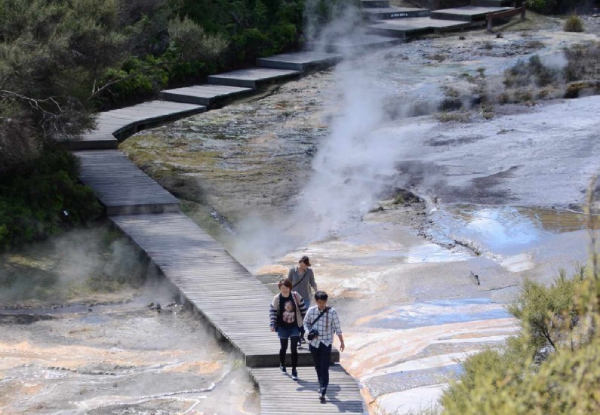 Orakei Korako "The Hidden Valley" Day Trip Departing from Rotorua - Option for Adult or Child