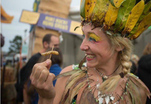 One Adult Entry to the Hokitika Wildfoods Festival incl. Entry to the Afterparty on the 10th of March 2018