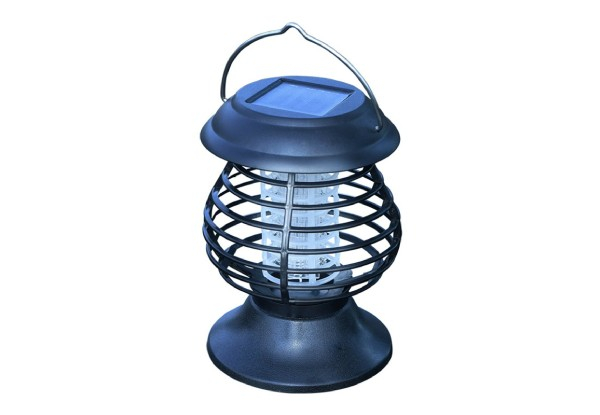 Solar-Powered Bug Lantern
