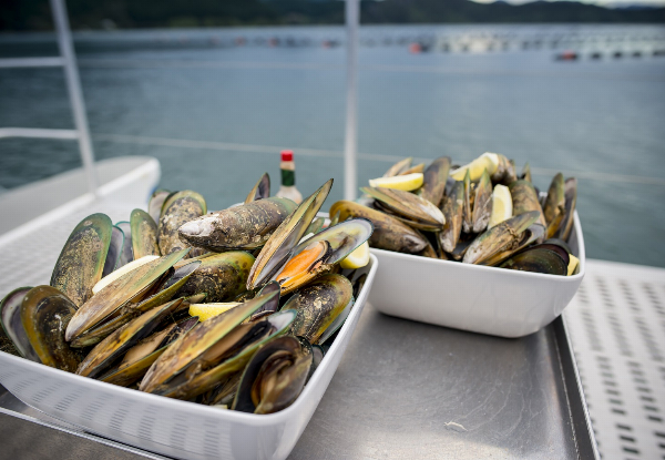 Half-Day Seafood Odyssea Cruise in the Marlborough Sounds - Options for Adult or Child Ticket
