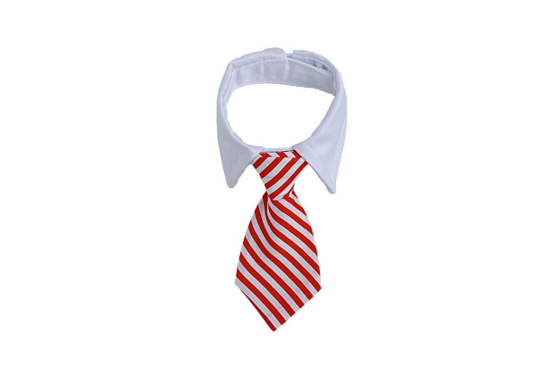 Pet Necktie - Three Colours & Two Sizes Available - Option for Two-Pack