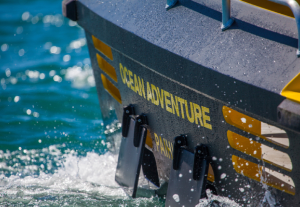 Ocean Adventure Experience in the Bay of Islands for One Adult - Options for Child or Two Adults