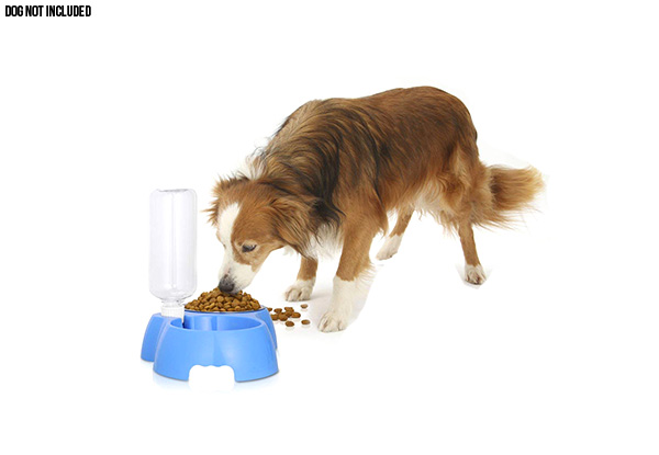 Two-in-One Pet Feeder - Two Colours Available