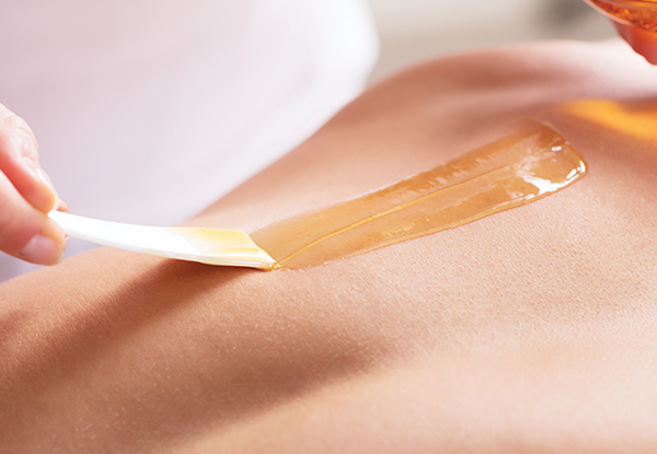 Women's Waxing Package - Four Options Available & Option for Men's Wax