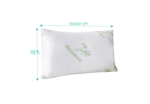 DreamZ Two-Pack Memory Foam Pillow Cover