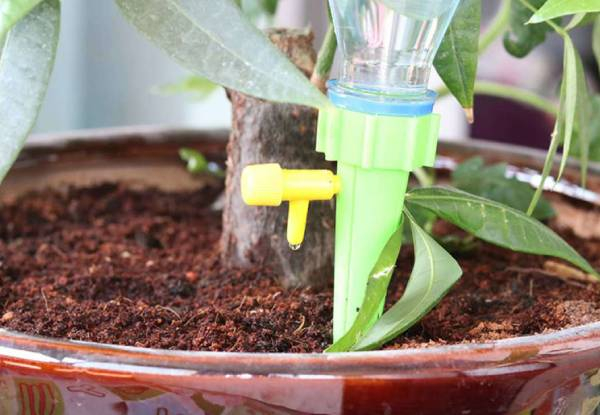 Six-Piece Automatic Drip Irrigation Watering Device