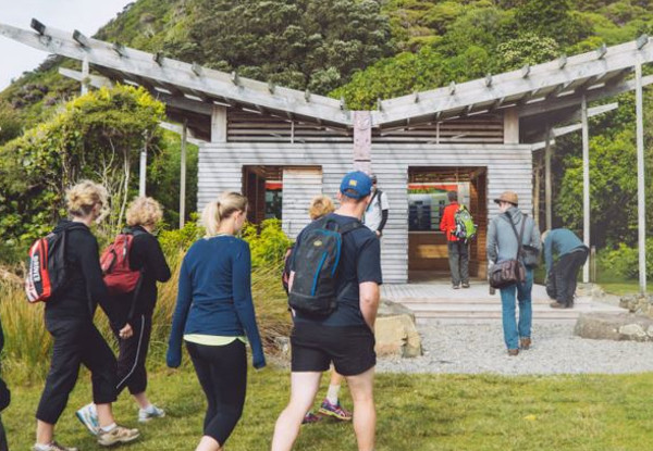 Kapiti Island Day Trip incl. Ferry Transport, Introductory Talk & DOC Permit for One Person - Option to incl. One-Hour Guided Walk, Buffet Lunch & Drinks