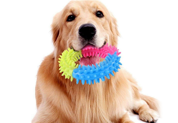 10-Piece Dog Braided Rope Chew Bite Toy - Two Styles Available