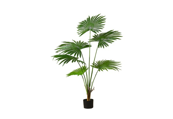 Indoor Artificial Chinese Windmill Palm Tree - Two Sizes Available
