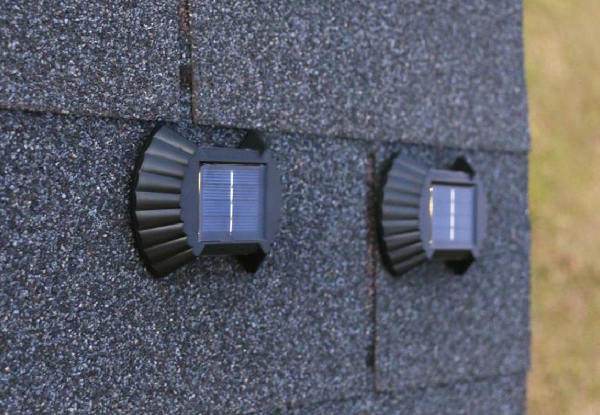 Four-Pack Shell Shaped Solar Wall Lights - Available in Two Options