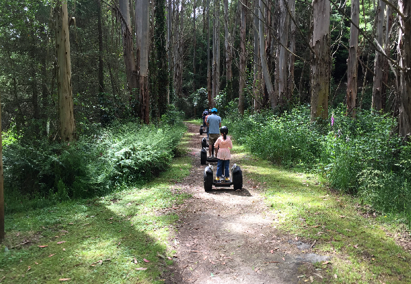 60-Minute E-Venture Forest Trail on a Fat Tyre Scooter for One-Person / Extra Person - Options for Off-Road Segway Fun & for up to Six People