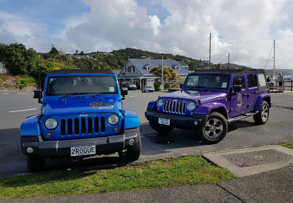 30-Minute Tour of the Bay of Islands in a V8 Mustang Convertible for One Person - Options for a One Hour Tour or a Jeep Tour for up to Four People