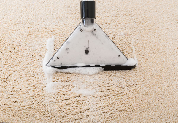 Carpet or Upholstery Shampoo - Options for up to a Five-Bedroom House or Six-Seater Suites