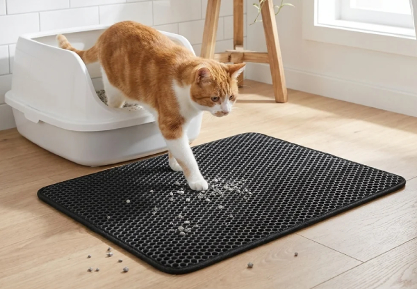 Two Double-Layer Honeycomb Cat Litter Mat