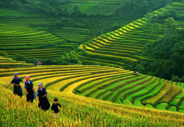 Per-Person Twin-Share Five-Day Vietnam Tour incl. Transport, Accommodation, English Speaking Guide, Activties & Sightseeing