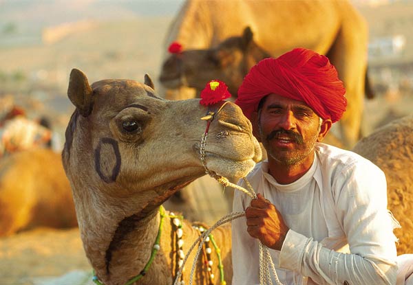 Per-Person Twin-Share 11-Night Tour of India incl. Boutique Hotel Accommodation, Internal Domestic Flight, Sightseeing, English Speaking Guide, Elephant Ride, Transfers & More