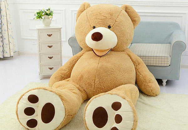 giant teddy nz