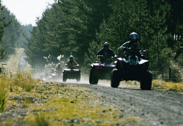 90-Minute 'Trail Blazer Safari' Quad Bike Adventure for One - Options for up to Six People