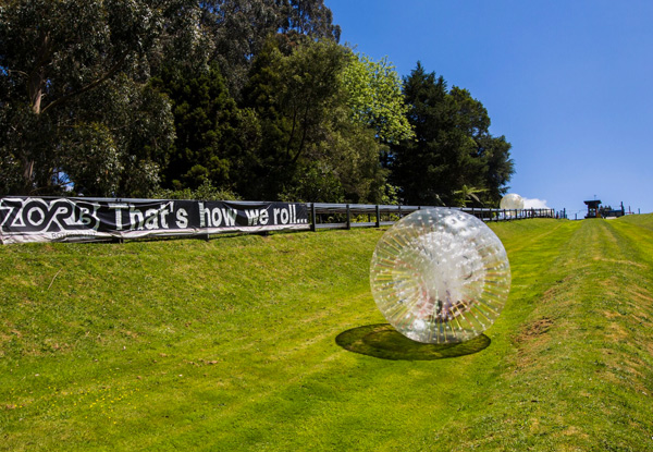 One ZYDRO ZORB Ride for Ages 6 - 17 Years - Option for an Adult or Passes for Both