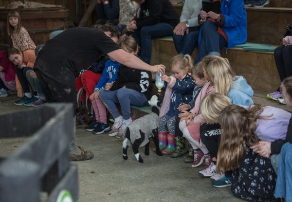 Full Day Adult Pass to Sheepworld Farm Park - Option to incl. Sheep & Dog Show & for a Child or a Family Pass