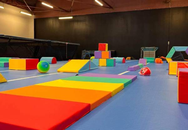 Jumping Fun at Flips & Tumbles - Option for Open Session Pass, Toddler Pass, Nine Term 4 Friday Children's Classes, Holiday Program Week Pass & Birthday Packages Available