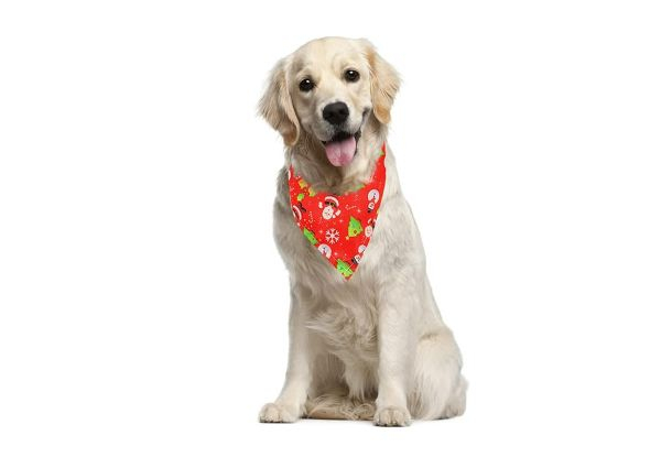 Two-Pack Pet Christmas Bandana - Five Styles Available