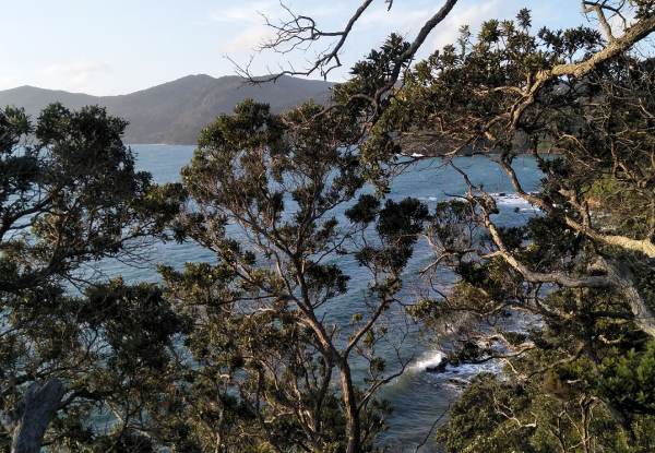 Two-Night Escape to Great Barrier Island for Two People incl.  Late Checkout, Complementary Kayaks, Surfboards & Boogie Boards - Options for Three or Four Nights