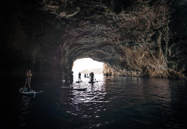 Full Day Luxury Boat Trip to the Poor Knights Islands for One incl. Lunch, SUP Hire & Guided Exploration - Options for Two, Four or Eight People Available