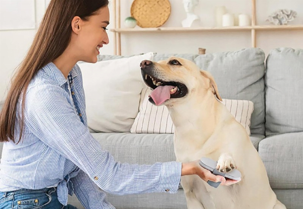 Pet Dog Nail Scratch Pad