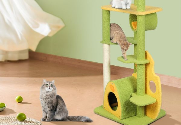 PaWz Multi-Level Cat Scratching Post Tree Furniture - Four Options Available
