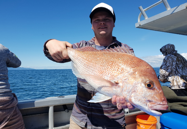 All-Inclusive Half-Day Fishing Charter For One - Options for up to Five People or Private Charter