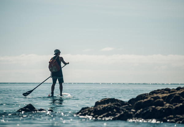 $39 for a One-Hour Stand Up Paddle Board Lesson or $79 for a Four-Hour Hire (value up to $299)