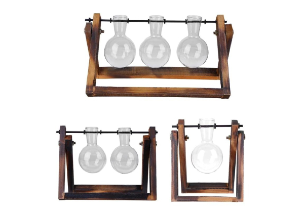 Glass & Wood Terrarium - Three Options Available