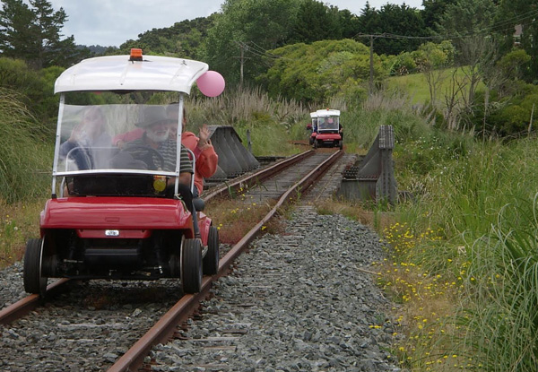 Rail Carting Adventure in Dargaville - Options for Adults & Children