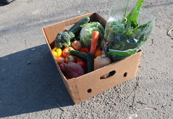 Mixed Fruit & Vegetables Delivered to Your Door with Free Delivery