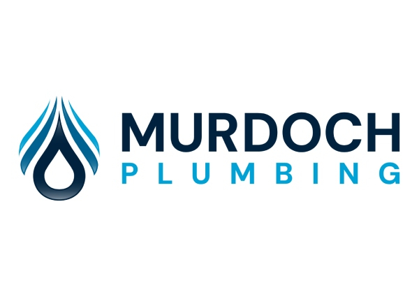 Two Hours of Plumbing Services at Your Home - Option for Four Hours