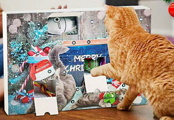 2024 Christmas Cat Toy Advent Calendar - Option for Two-Pack