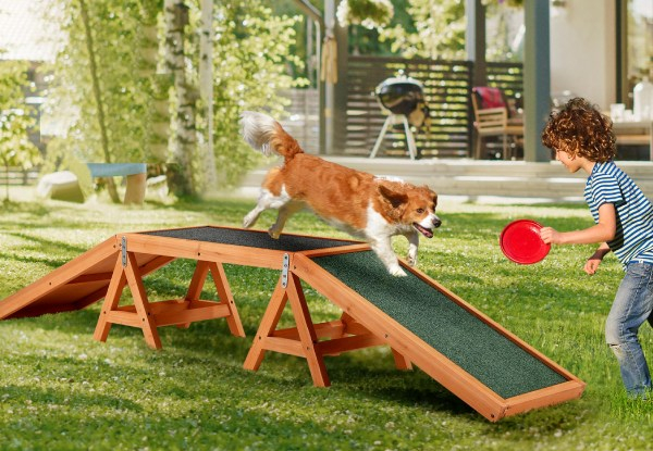 Petscene Wooden Arch Bridge Agility Ramp Obstacle Toy for Pets