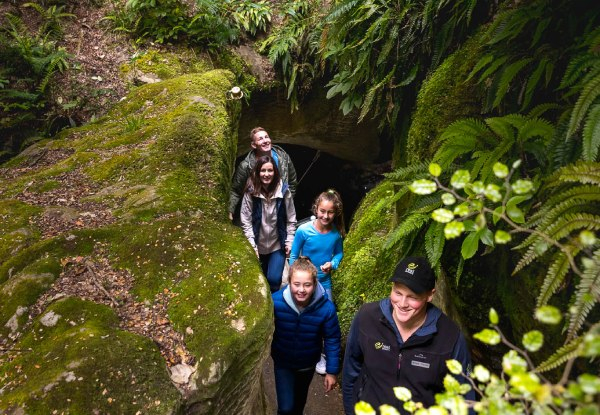 Per-Person, Twinshare, Five-Day Fiordland Trip & Cruise incl. Two Night Cruise, Car Rental, Accommodation, Boat Transfer, Glow Worm Excursion & More