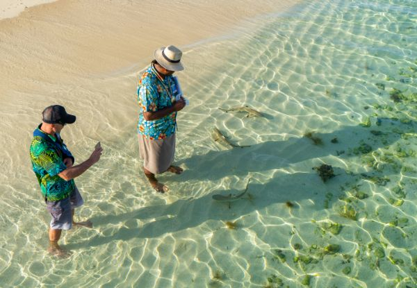 Tivua Island Day Sail & Sunset Dinner Cruise