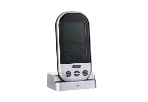 Wireless Meat Thermometer with Free Delivery