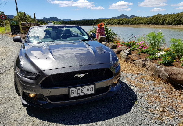 30-Minute Tour of the Bay of Islands in a V8 Mustang Convertible for One Person - Options for a One Hour Tour or a Jeep Tour for up to Four People