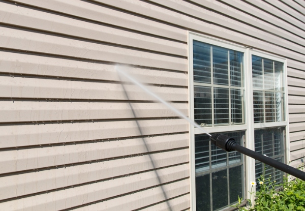 Exterior House Wash & Exterior Window Clean - Option to incl. a Moss & Mould Treatment