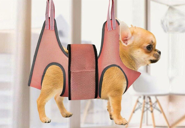 Small Pet Grooming Sling Hammock - Available in Two Sizes & Option for Two Colours