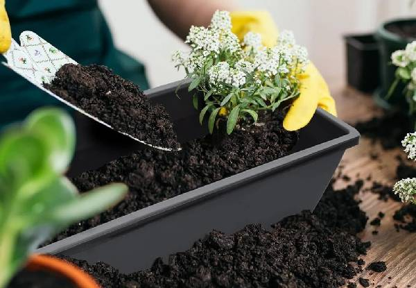 10-Pack 15L Rectangular Planter Box Set with Drainage Tray