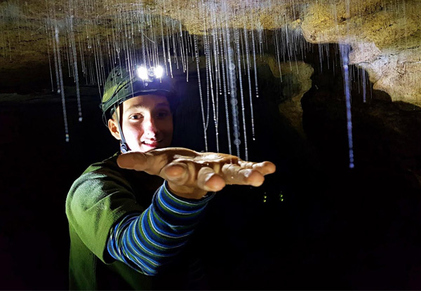 Three-Hour Glow Worm Adventure Eco Tour - Option for Two Available